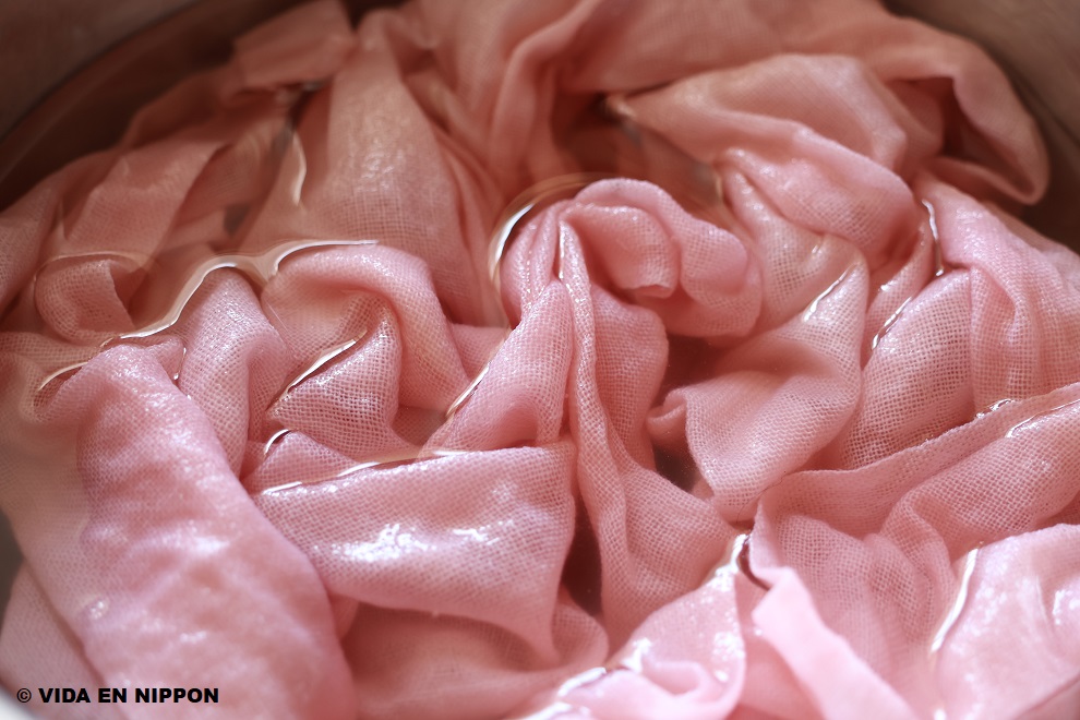 Dyeing fabric with Cherry blossom branches!