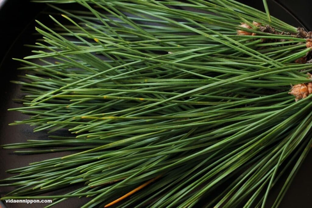 Traditional New Year Plants in Japan