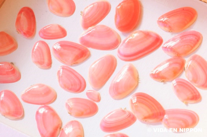 Sakura shells