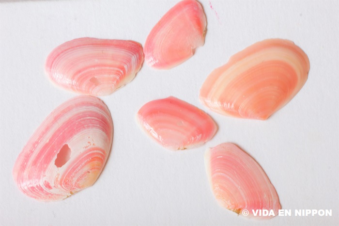 pink shells